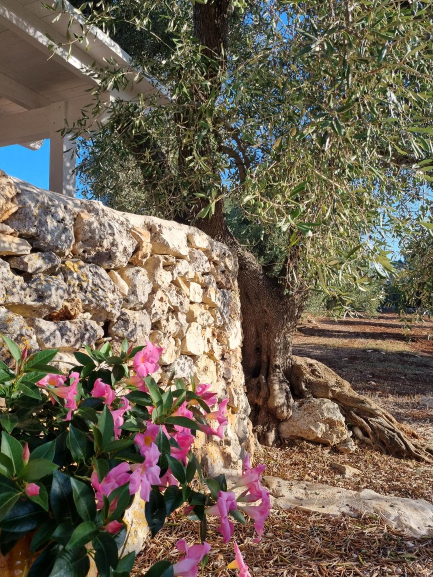 Trulli Di Spinaruta Acomodação com café da manhã Grottaglie Exterior foto