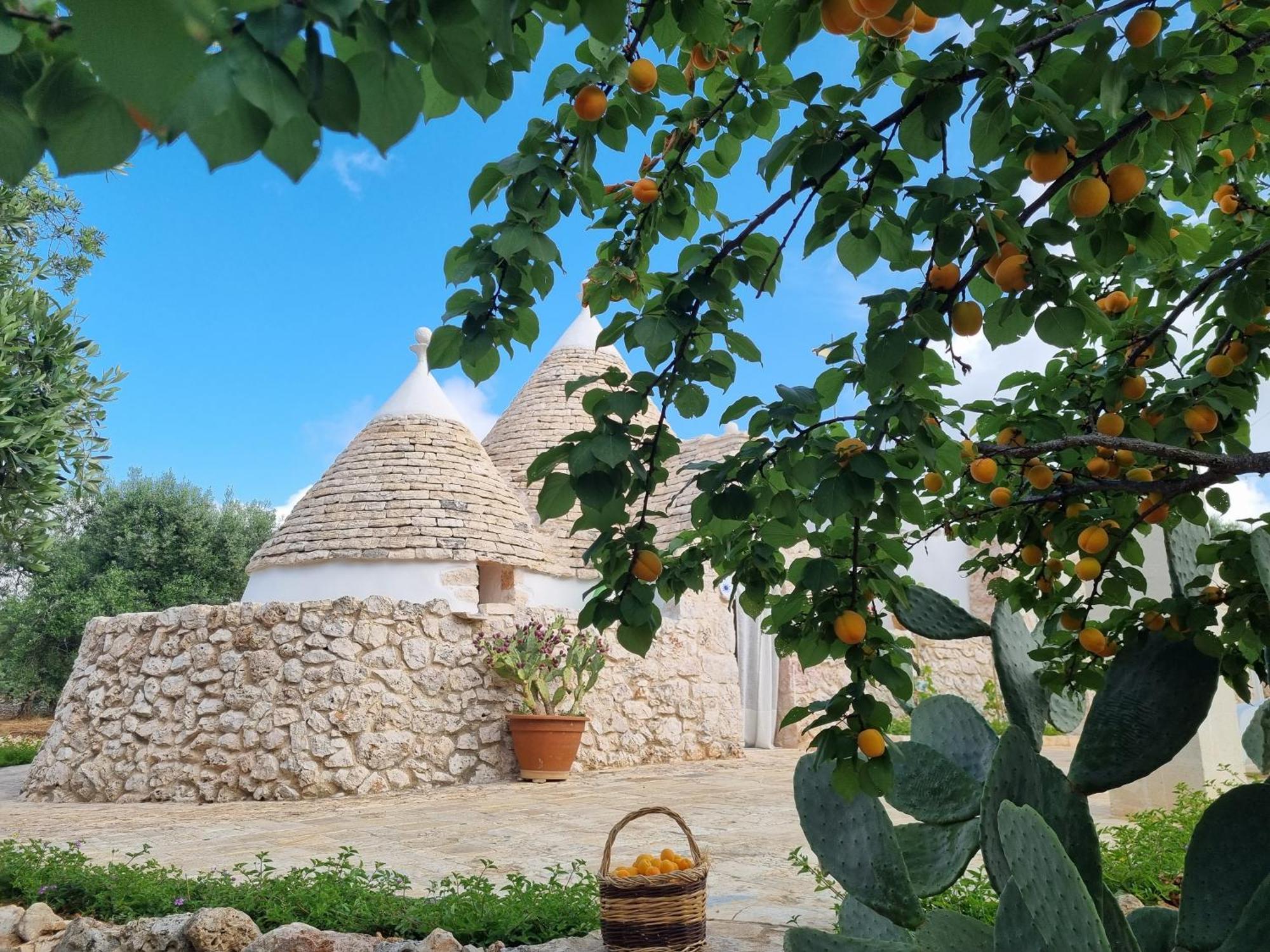 Trulli Di Spinaruta Acomodação com café da manhã Grottaglie Exterior foto